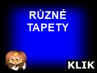 RŮZNÉ TAPETY -