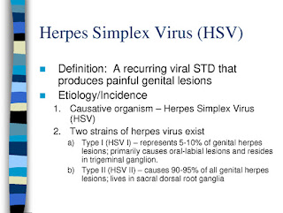 Genital herpes diseases