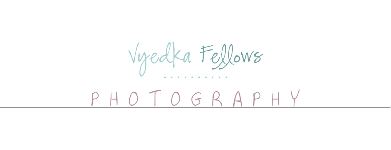 Vyedka Fellows Photography