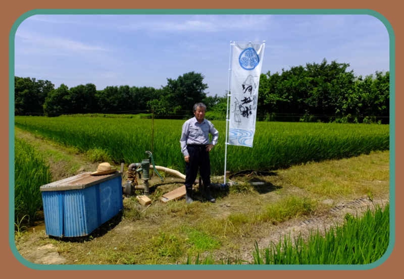 小江戸市場カネヒロ