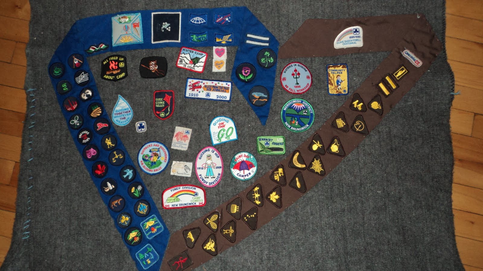 Girl Guide Badges! Girl guides, Camping blanket, Girl guide cookies