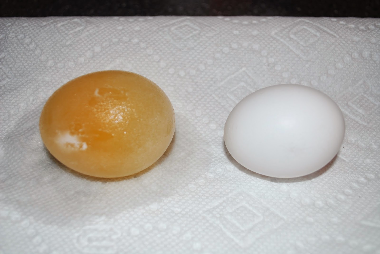 Eggmosis Teaching Selectively Permeable Membranes with Eggs Nitty