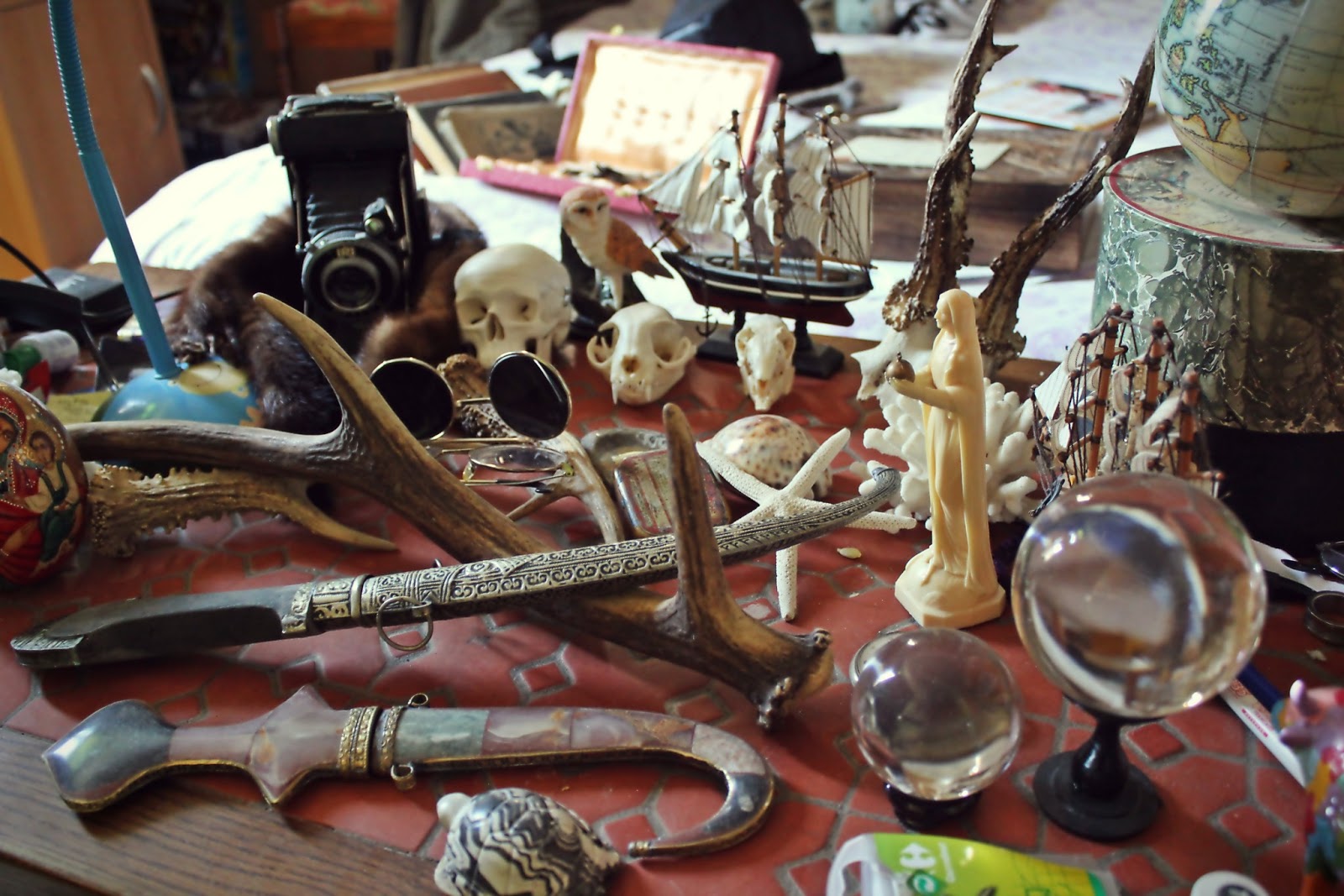 Taxidermiquement vôtre.