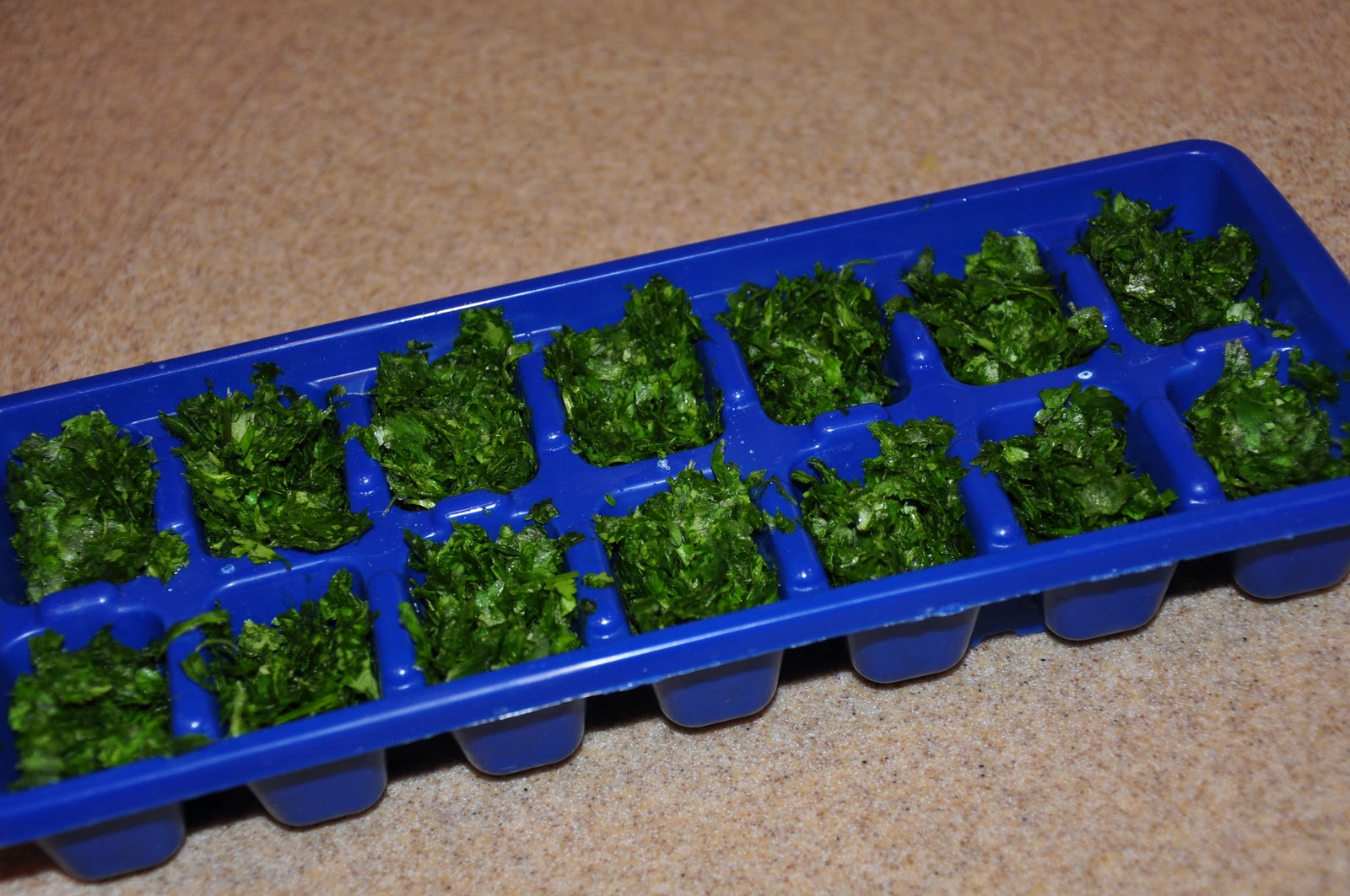 The Changeable Table Frozen Herb Cubes