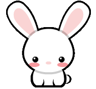 ¡Adorable conejo!