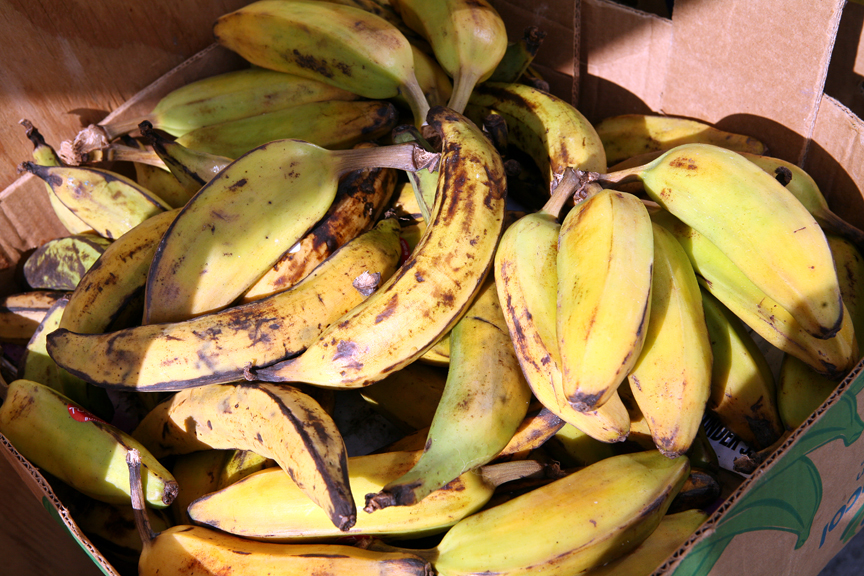Dominican Platano