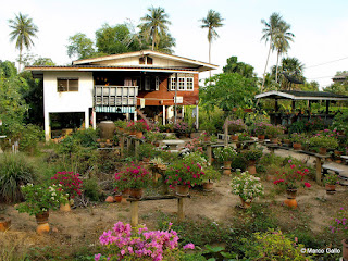 KOH KRET, LA ISLA DEL RÍO CHAO PHRAYA, BANGKOK. TAILANDIA