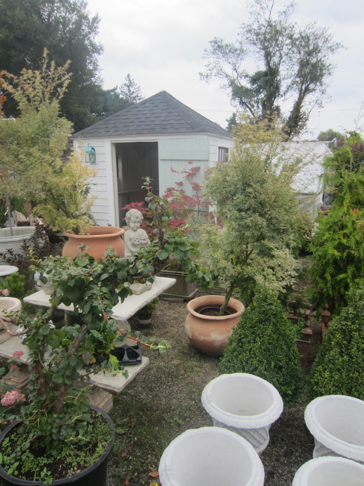 Relaxshacks Com Shellback Cottages From New England Shed