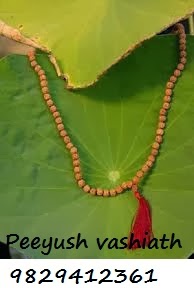 Rudraksha mantra remedies