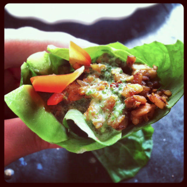 spicy tempeh stuffed collard 'tacos'