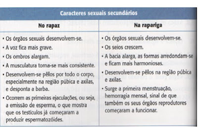 Quando faz um ano de namoro é bodas de que Quando faz um ano de namoro é bodas de que