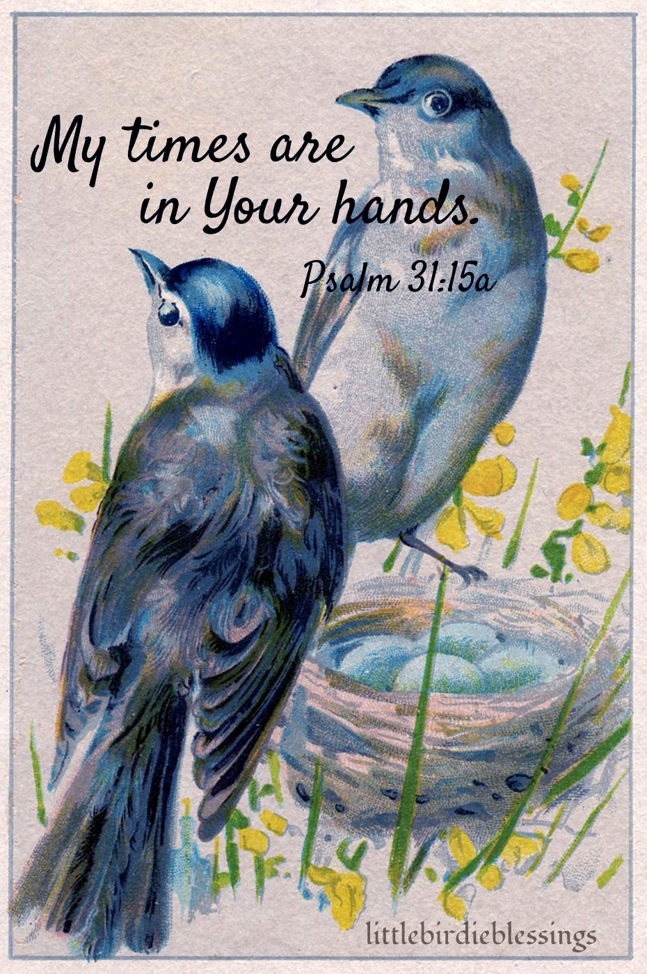 Little Birdie Blessings My Times In His Hand Day by Day