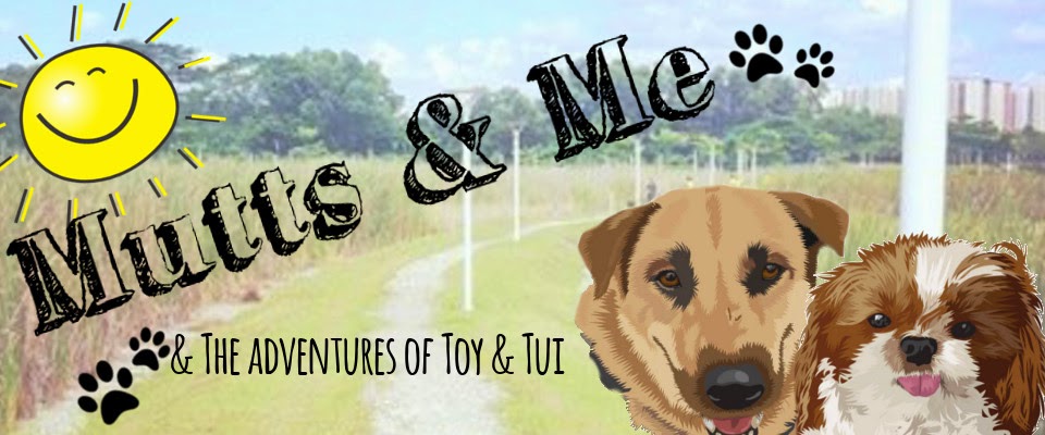 Mutts & Me - Plus the adventures of Toy & Tui!