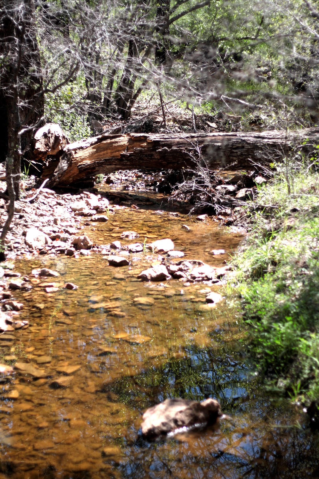 The Burress Home Inks Lake