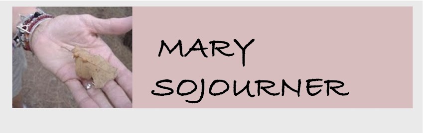 Mary Sojourner