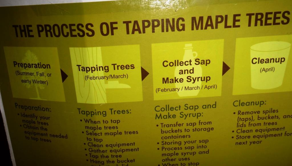 Training Happy Hearts Make Your Own Maple Syrup {A Tap Your Trees Review}