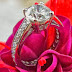 Choosing a Diamond Engagement Ring