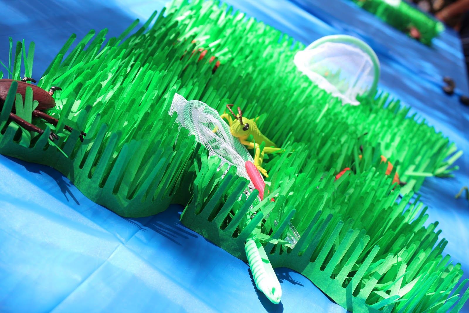 A Bug Birthday Party Elizabeth Lauren