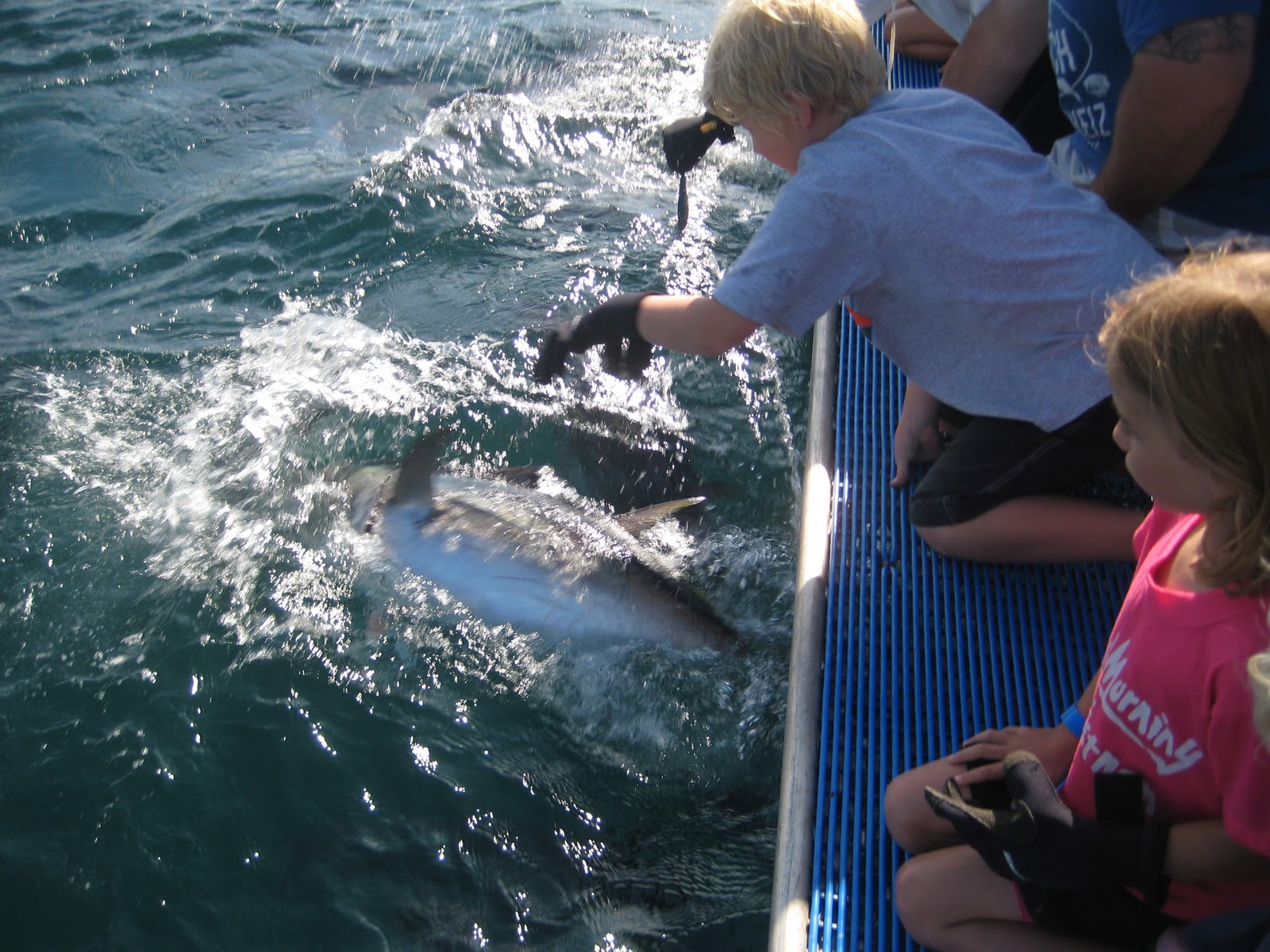 Biharys on Tour Tuna Salad in Port Lincoln