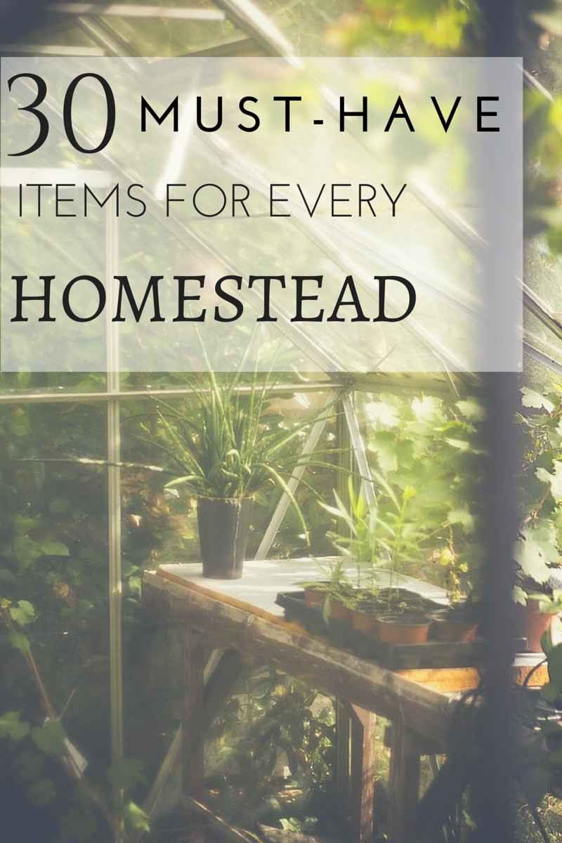 30 MustHave Items For Every Homestead One Ash Homestead