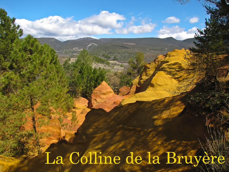 La Colline de la BRUYERE. P1. T1. 10km. Dénivelée 260m.