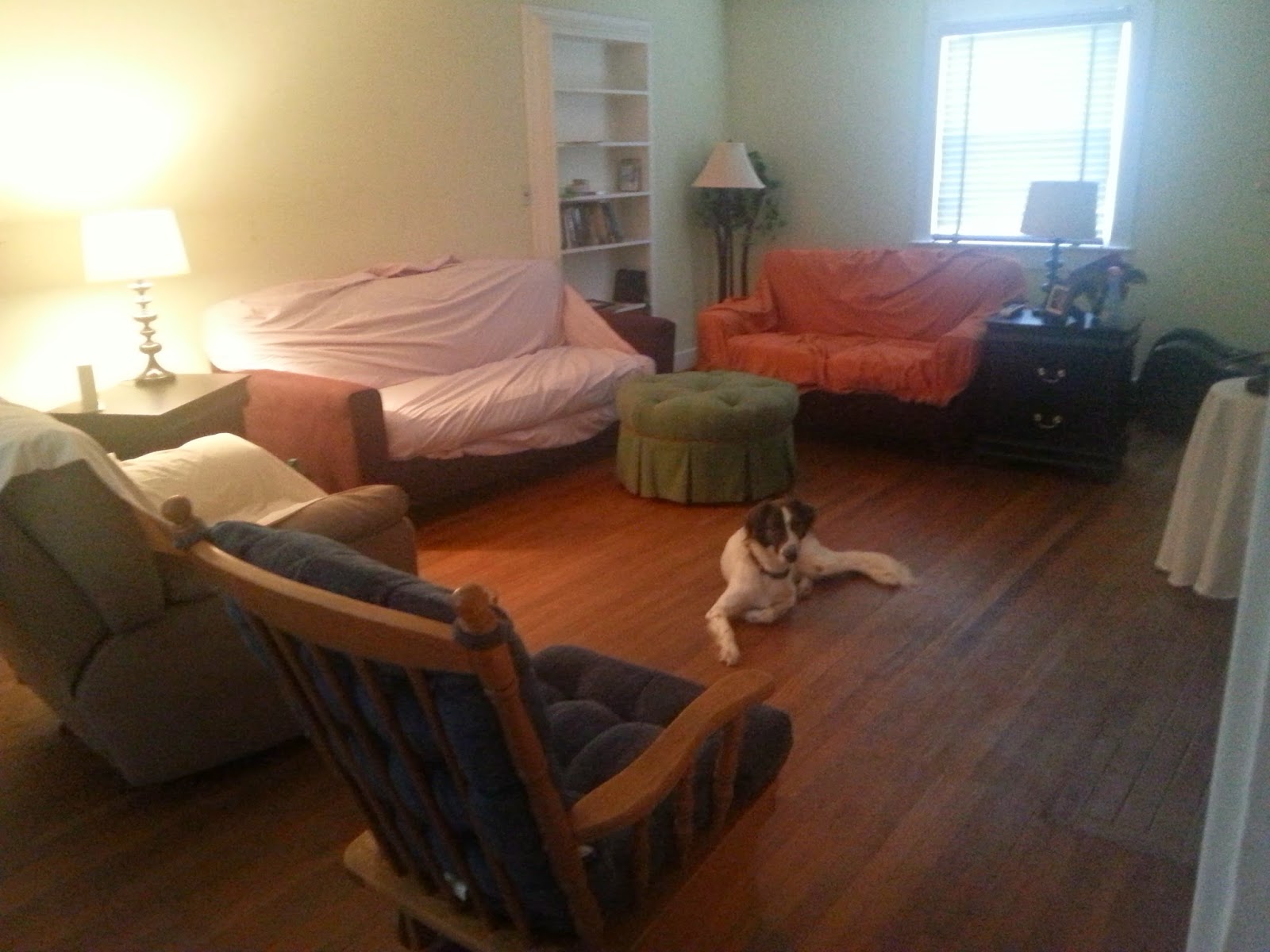 BYE! How to Keep Dog Hair to a minimum