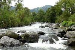 Paisaje Cultural Cafetero