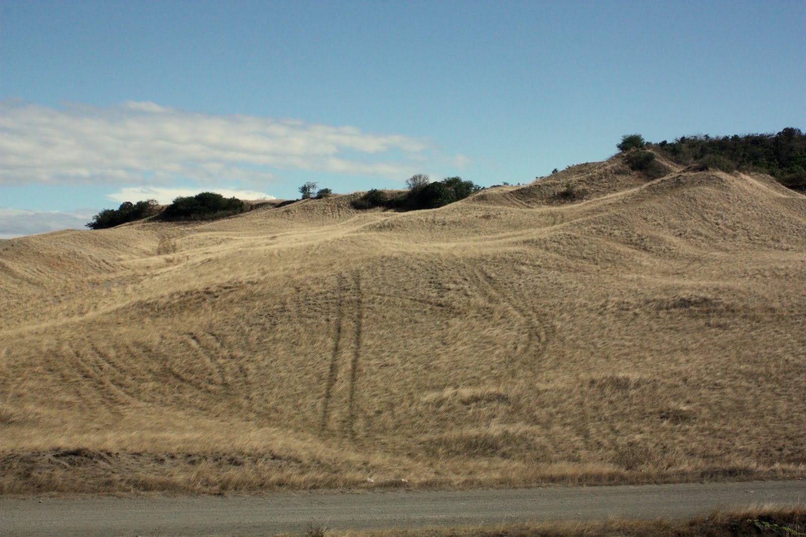 Coastal Desert