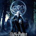 Download Harry Potter and The Deathly Hallows: Part 2 (2011) TS New Source 450MB Free