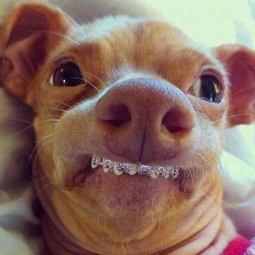 jerRaAhpOtatoOw Tuna melts my heart