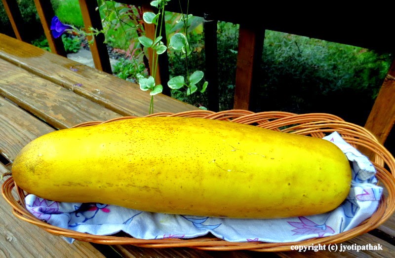 Taste of Nepal Pickled Cucumber Khalpi (खल्पी) Achaar