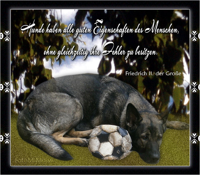 Morles Bastelblog Spruche Zitate Gedichte Poesie