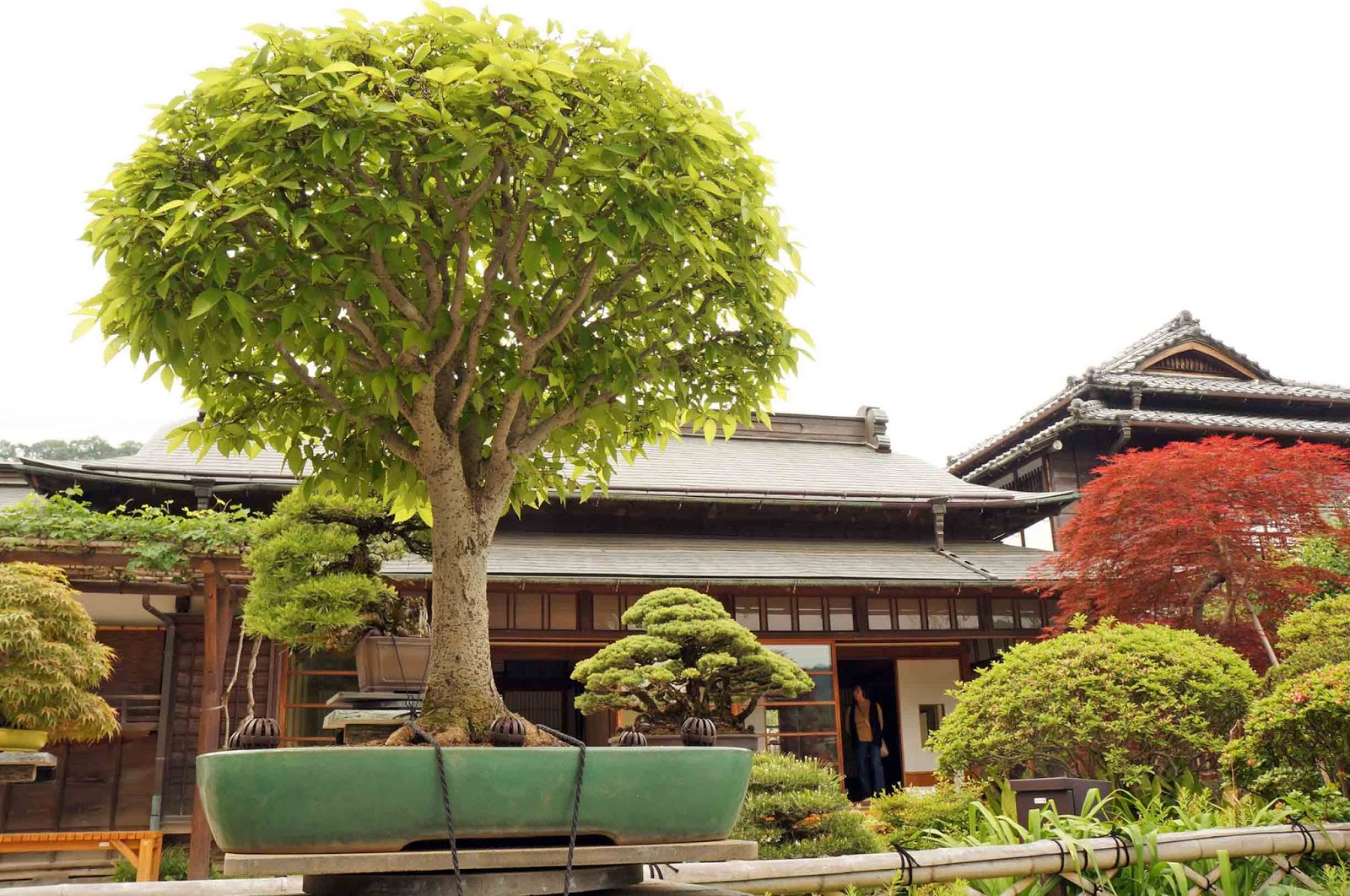 For Your Small Japanese Garden by YUKIMONO A good out of the way