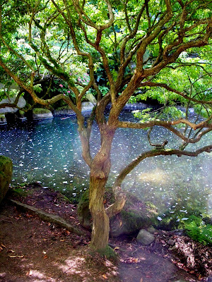 Inside Out: Monday Adventure- Portland Japanese Garden