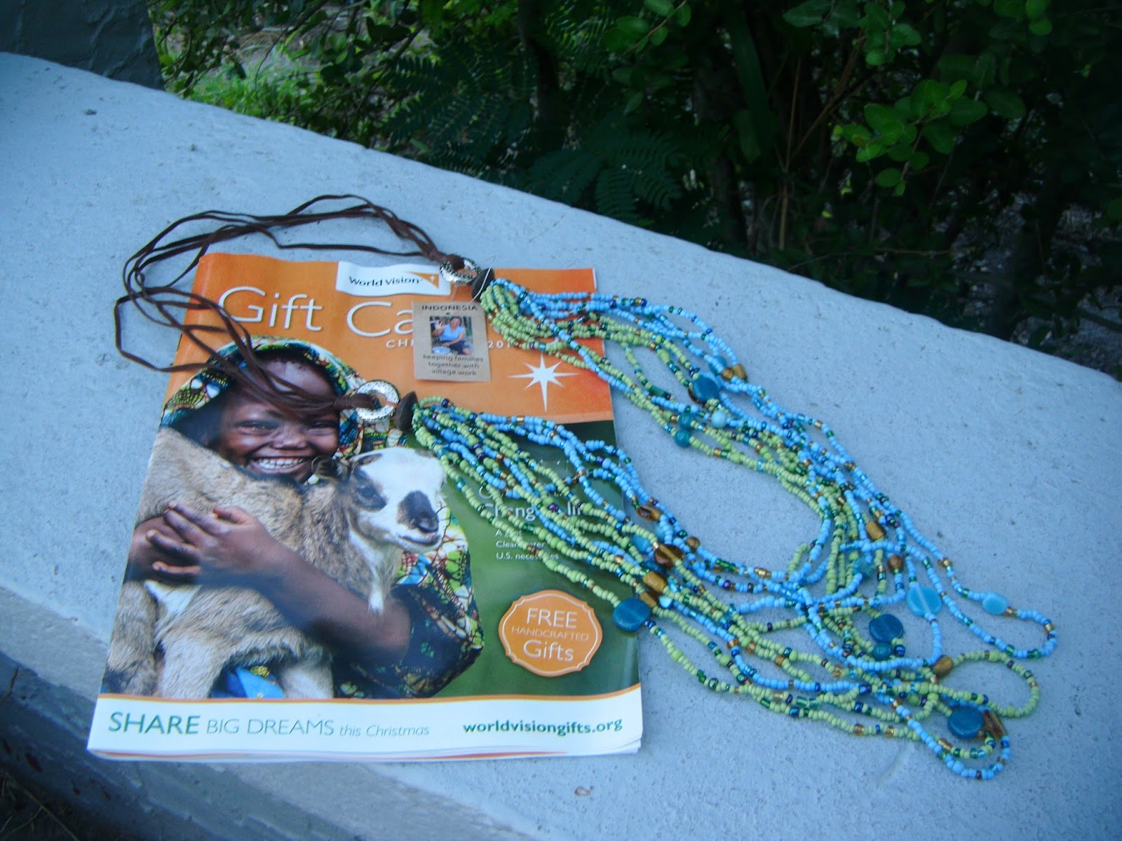 The ABCD Diaries Holiday Gift Idea World Vision Gifts that Give Back