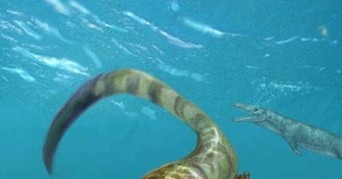 Species New to Science [Paleontology • 2012] Pannoniasaurus