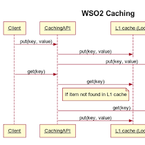 wso2
