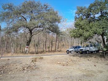 INDIA 2011: Forest protected by degradation