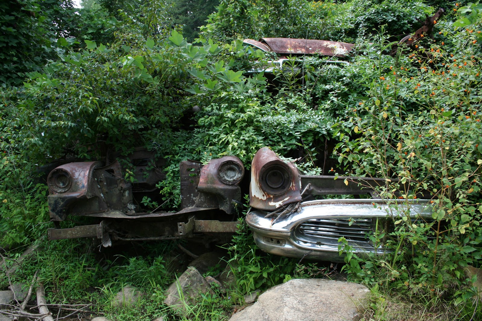 The Carpetbagger Automotive Riverbank Preservation