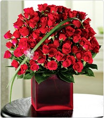 Red Rose Shop Love and Romance Red Rose Shop Love and Romance