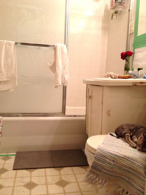 Bathroom Lights Went Out misha and mia: bathroom floor tile - dark grey or light? Bathroom Lights Went Out misha and mia: bathroom floor tile - dark grey or light?