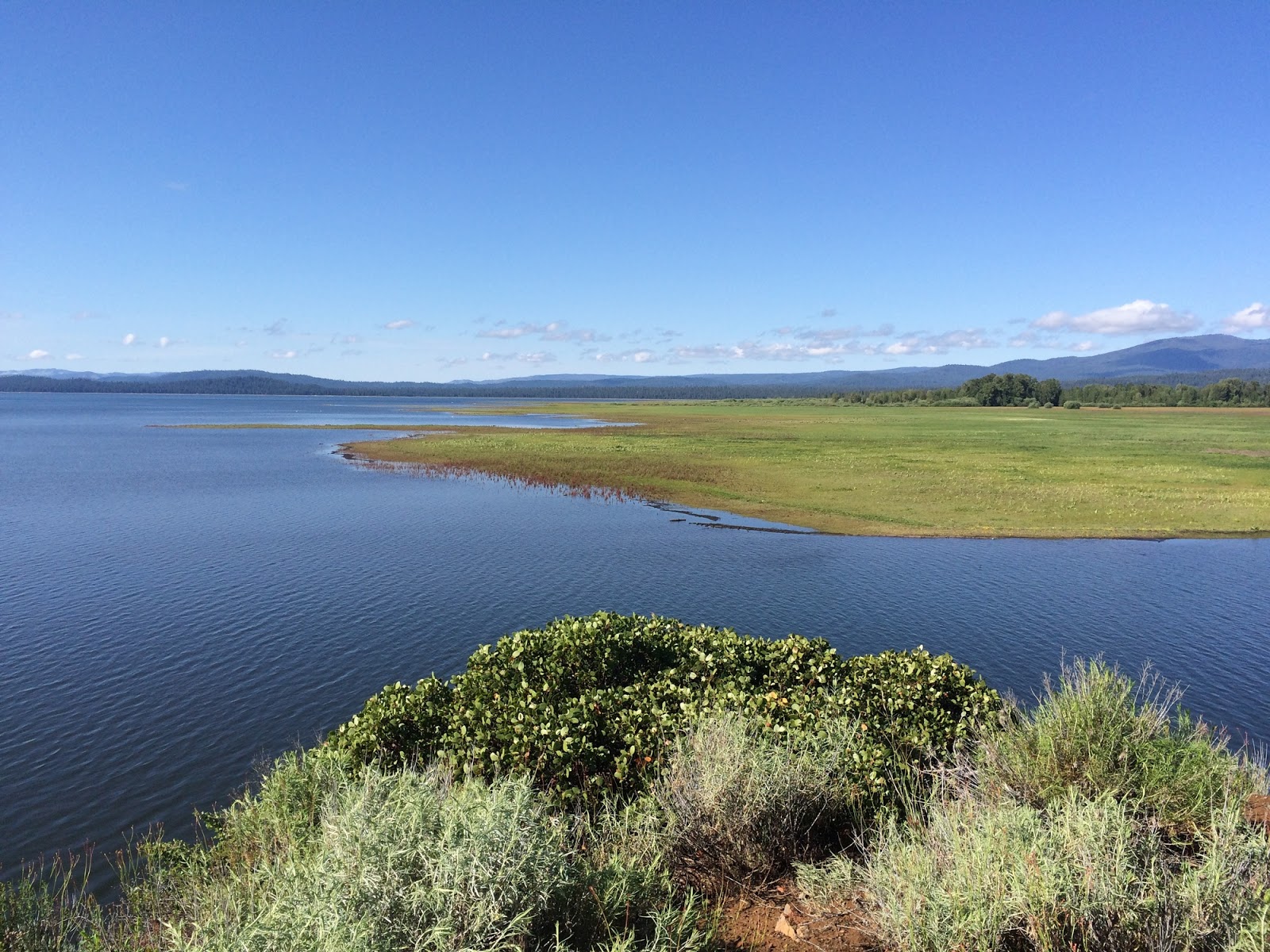 Gravel Beach: Lake Almanor