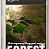 Download Game : The Forest 