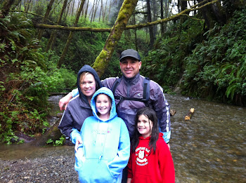 Our hike to Fern Canyon