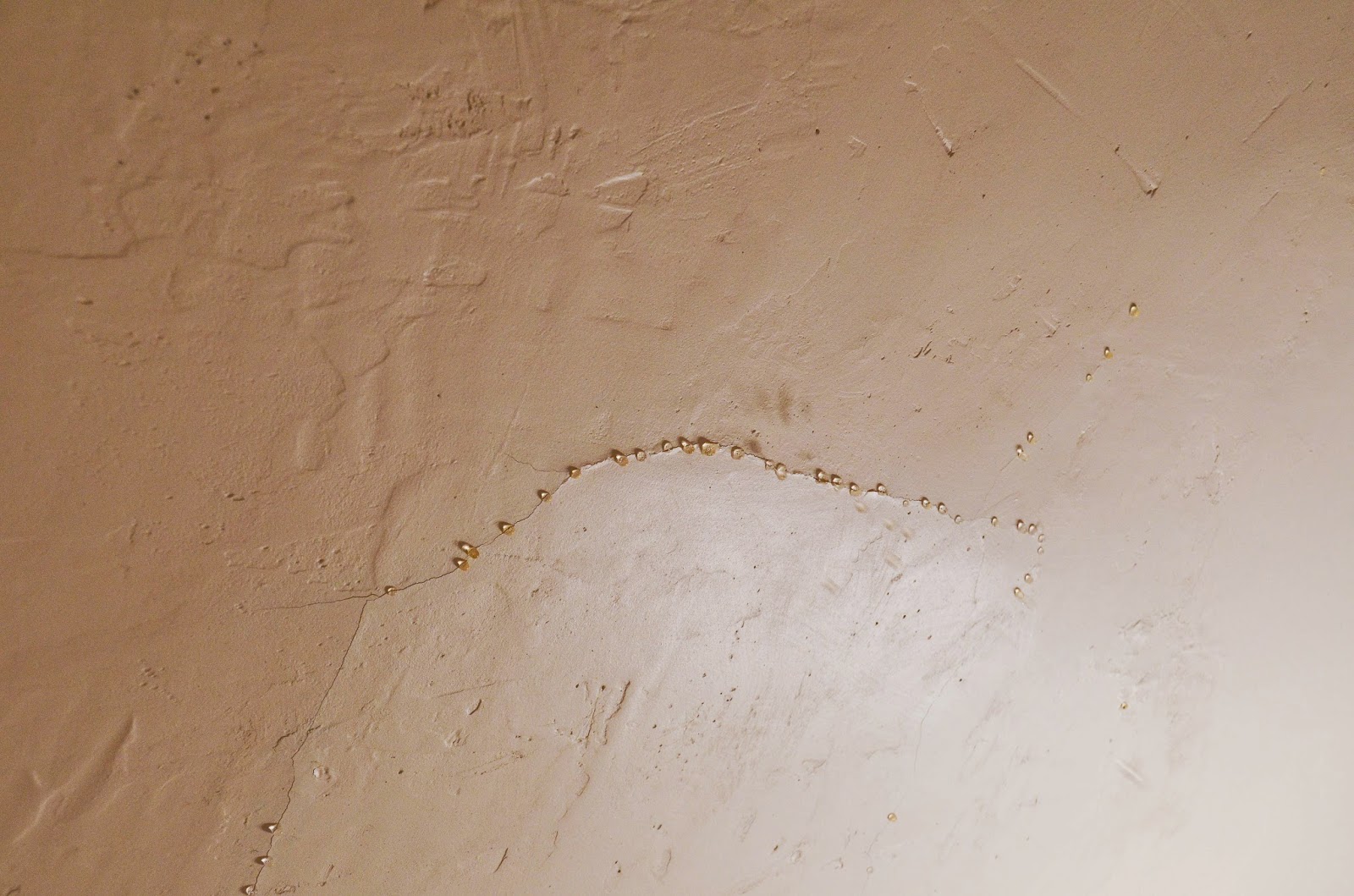 Leaking Bathroom Ceiling November 2014
