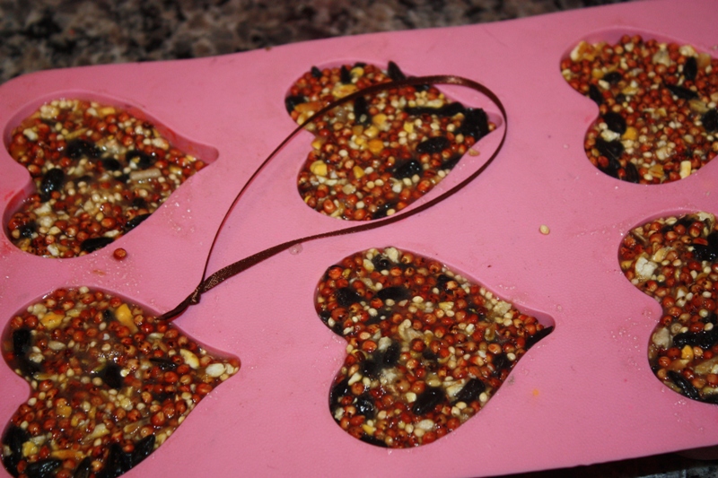 Christy Robbins Bird Seed Hangers