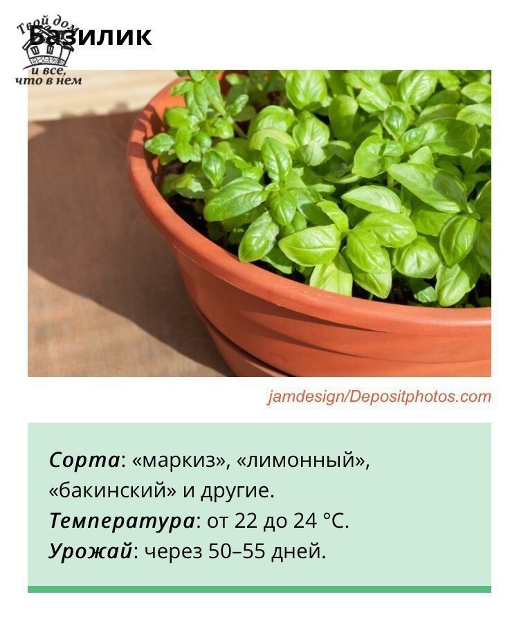 Огород если мало места Огород если мало места