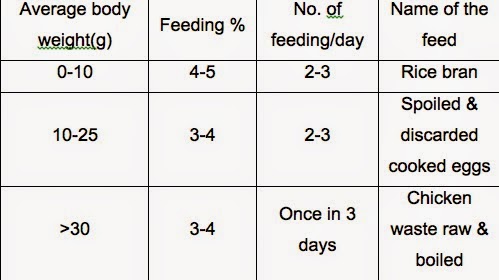 Catfish Growth Rate Chart