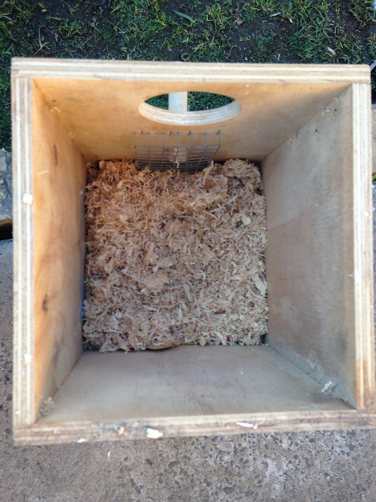 Parrot Breeding Indian Ringneck Parrot Nesting Box