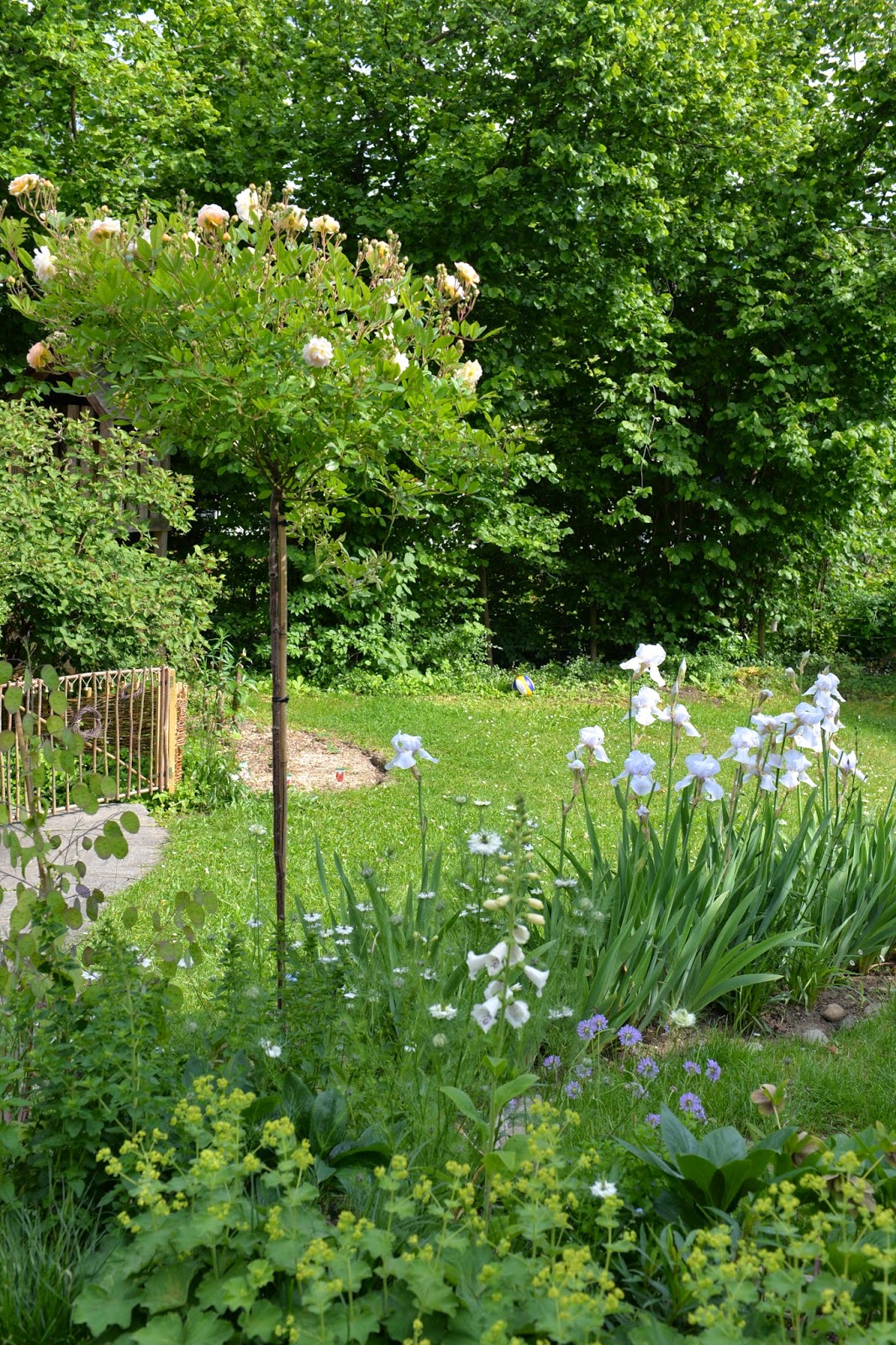 www.tüpfli.ch Der weisse Garten